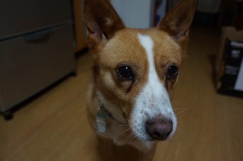f0087256_21532013.jpg
