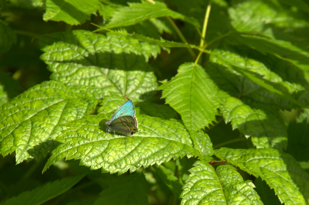 d0098057_4555141.jpg