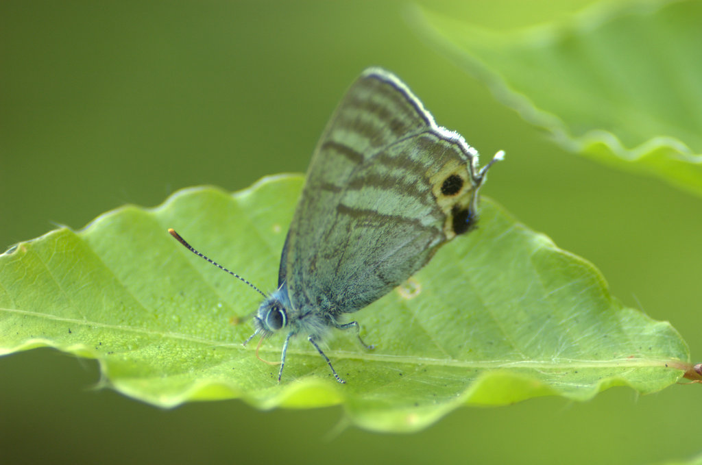 d0098057_4563070.jpg