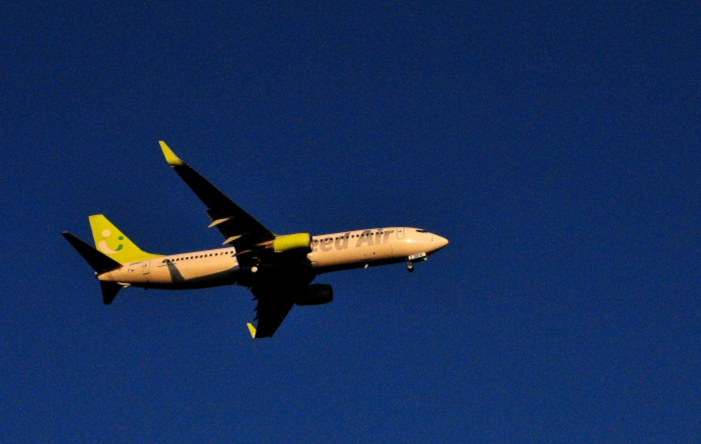 a0150260_038593.jpg