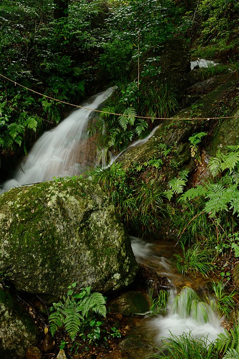 f0222161_19405920.jpg