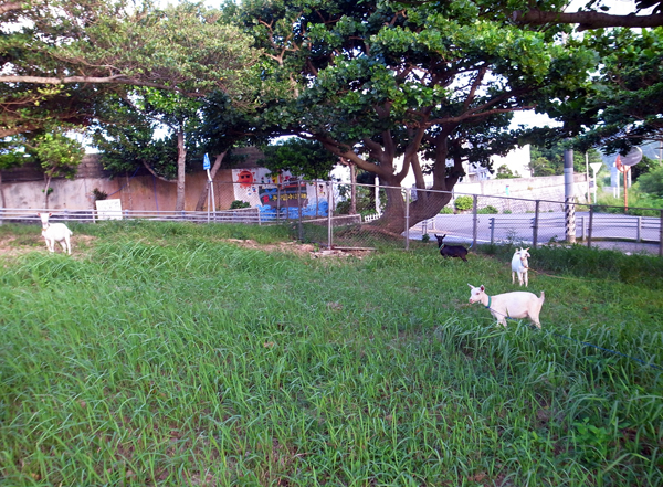 c0048265_1954441.jpg
