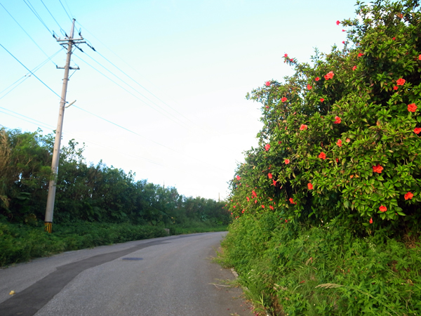 c0048265_2013886.jpg