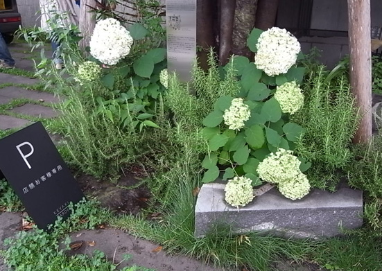 b0051666_7555682.jpg