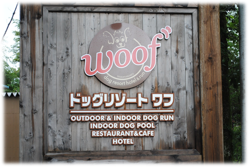b0242873_0311114.png