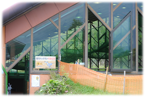 b0242873_0353189.png