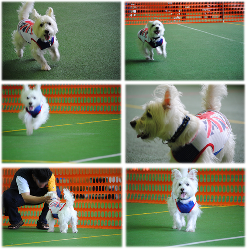 b0242873_040552.png