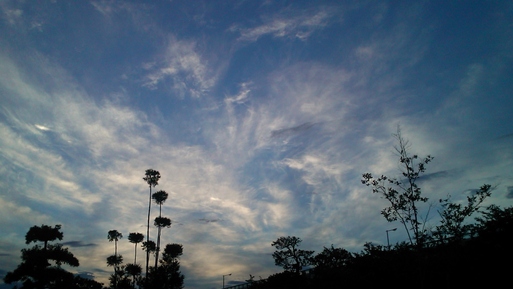 e0249878_1272594.jpg
