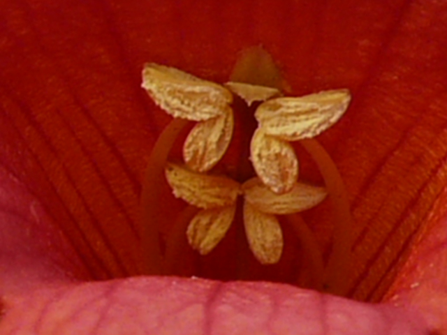 e0145782_15571958.jpg