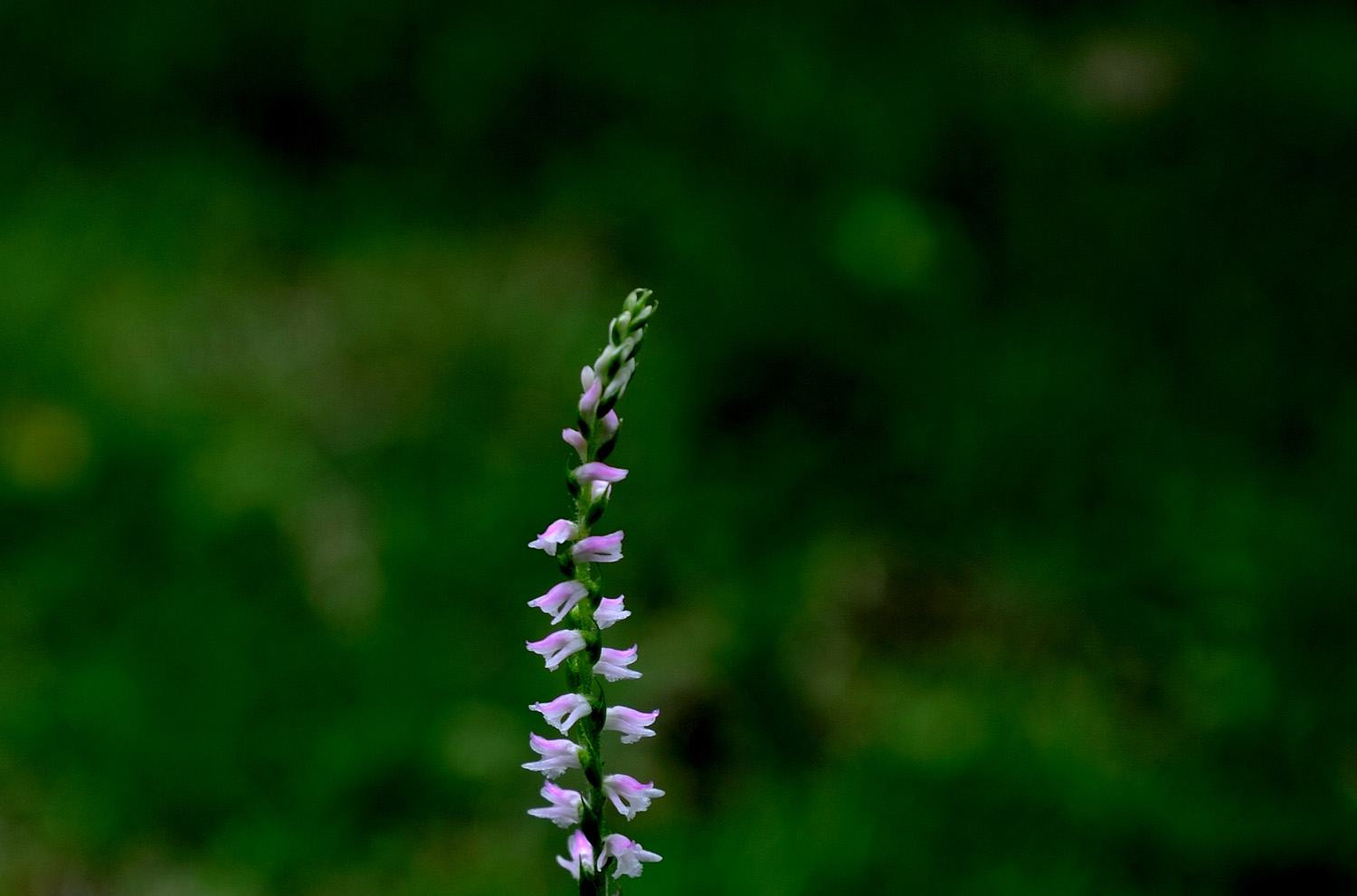 b0204383_233160.jpg