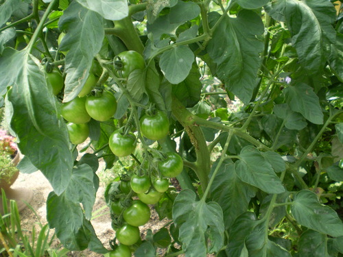 a0135990_22421857.jpg