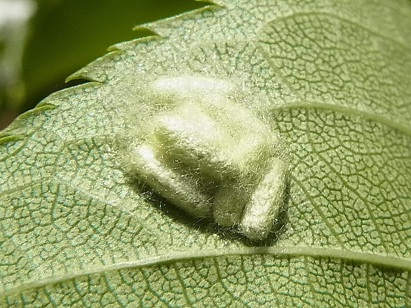 f0204094_154275.jpg