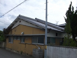 d0240201_152446.jpg