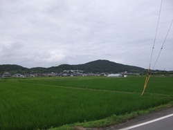 d0240201_1525928.jpg