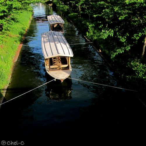 a0154706_20211824.jpg