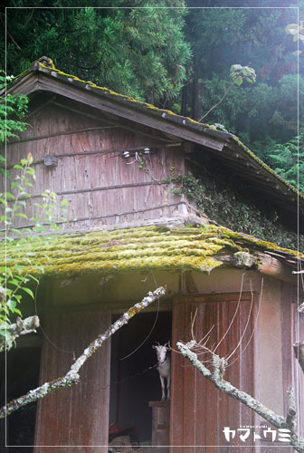 e0207511_21323521.jpg