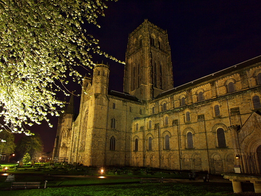 c0153616_557546.jpg