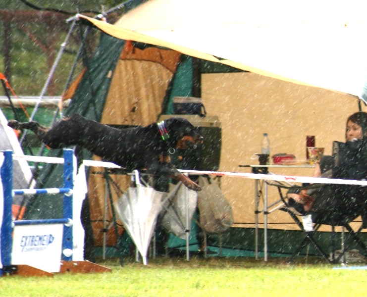 a0253518_1374852.jpg