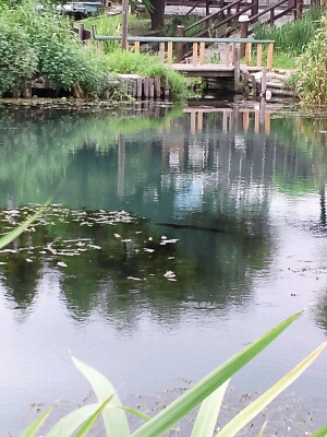 b0259124_20472123.jpg