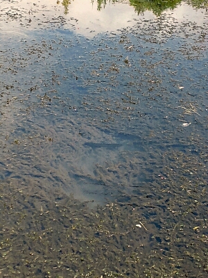 b0259124_2116126.jpg