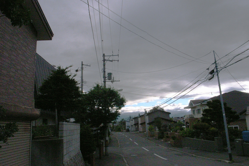 c0051132_2038530.jpg