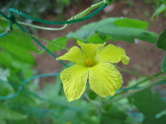e0166032_85018100.jpg