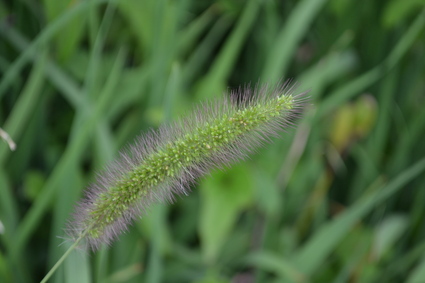 e0228938_1861713.jpg