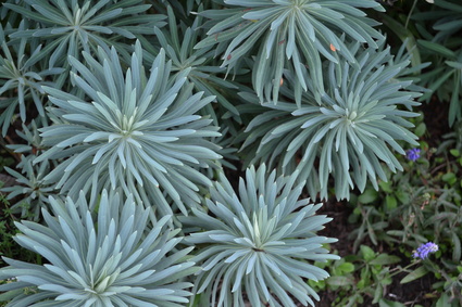 e0228938_189752.jpg