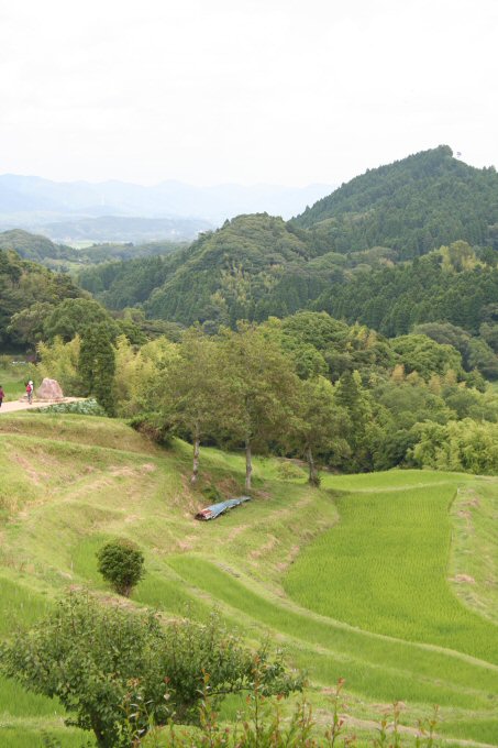 f0174244_21273440.jpg