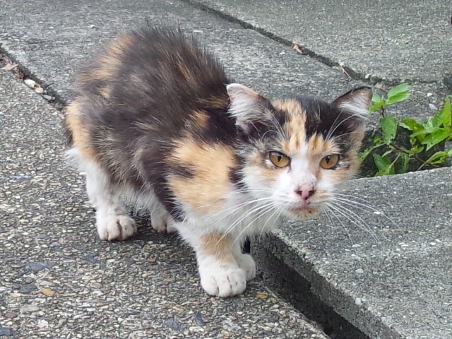 b0253057_2014066.jpg
