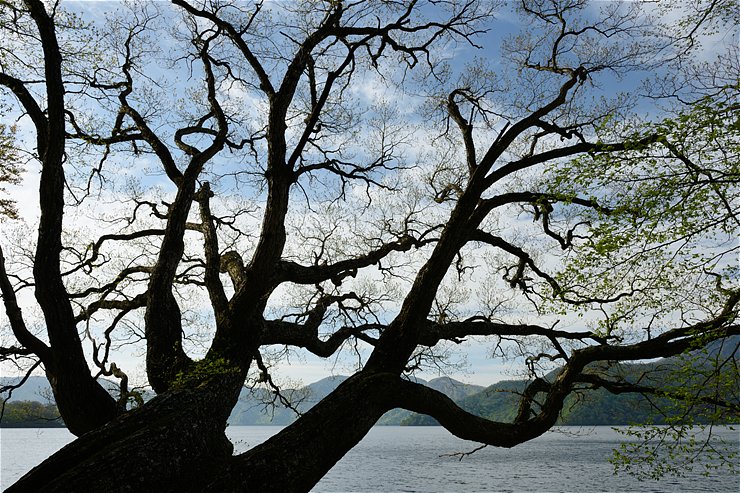 f0222161_1112579.jpg