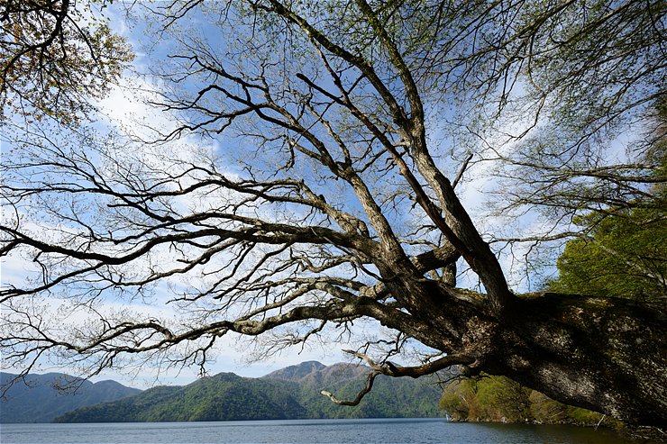 f0222161_1112934.jpg