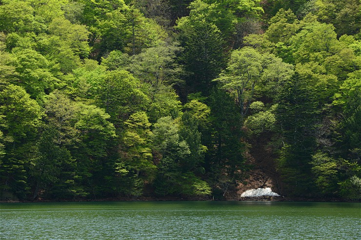f0222161_11291598.jpg