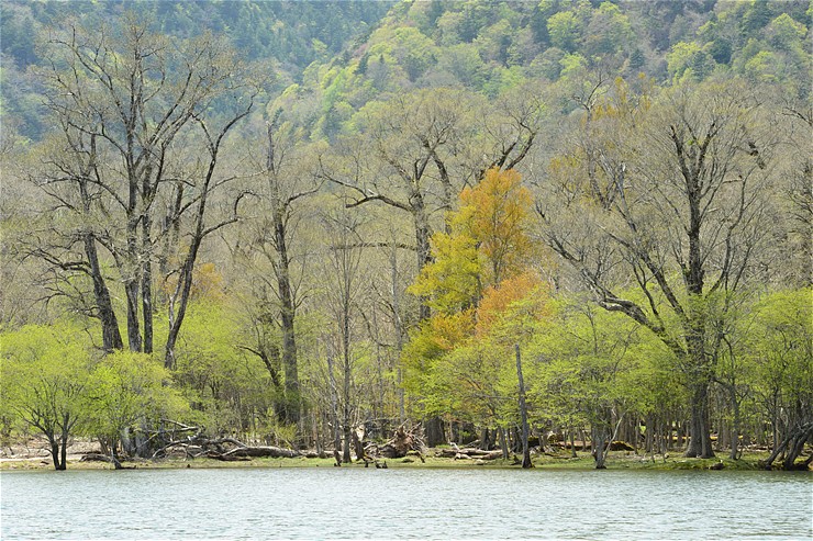 f0222161_1129784.jpg