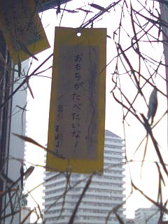 f0099367_15345586.jpg