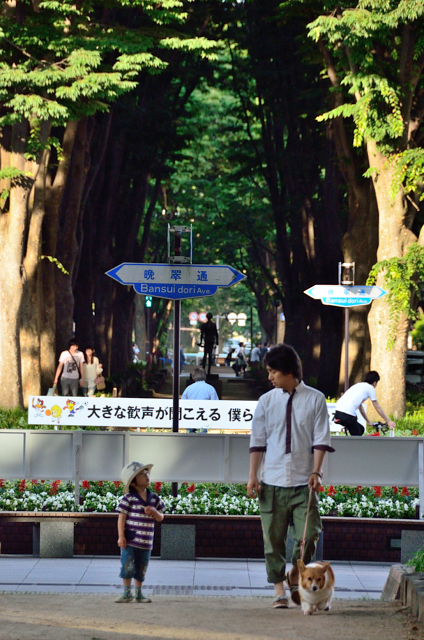 f0065768_17193637.jpg