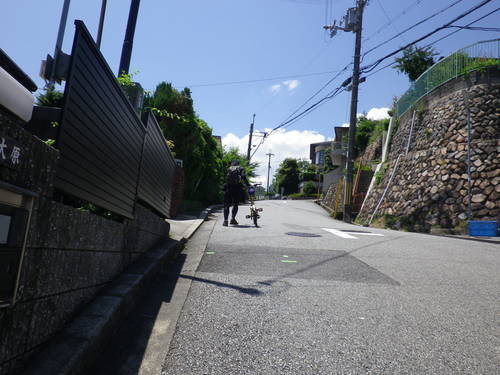 e0143671_12471194.jpg