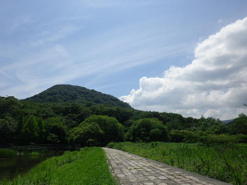 e0143671_1352521.jpg