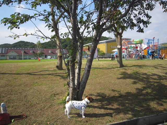 f0100871_1475920.jpg