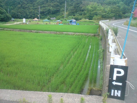e0247279_2216736.jpg