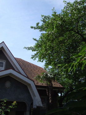 f0039281_20493819.jpg