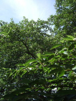 f0039281_20504447.jpg