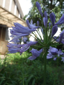 f0039281_20515779.jpg