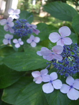 f0039281_20522466.jpg