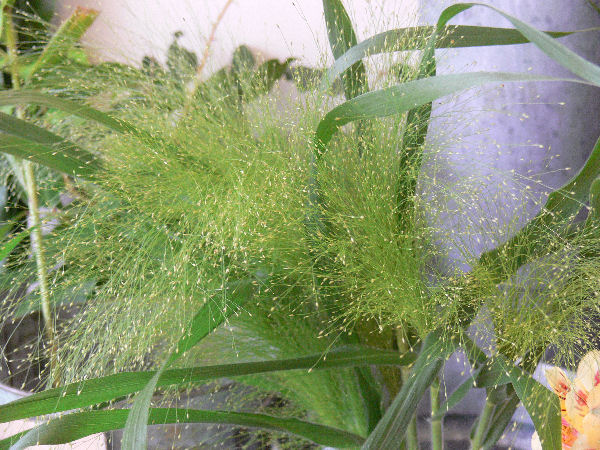 e0140986_14522921.jpg
