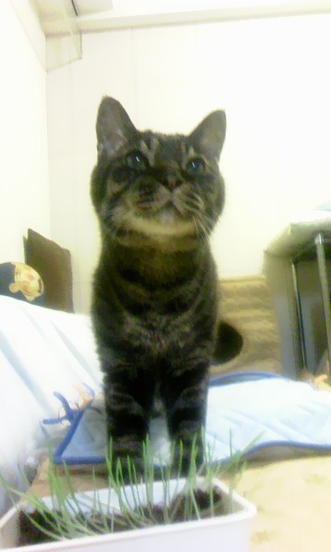 c0181887_0125150.jpg