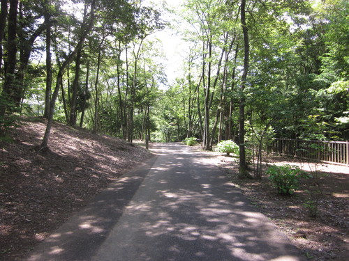 e0140491_14372315.jpg