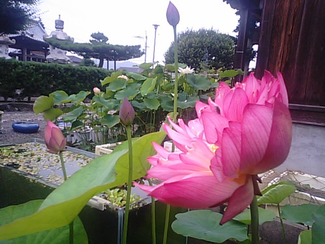 f0231709_22349100.jpg