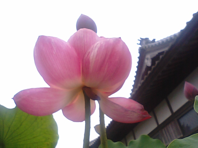 f0231709_2251919.jpg