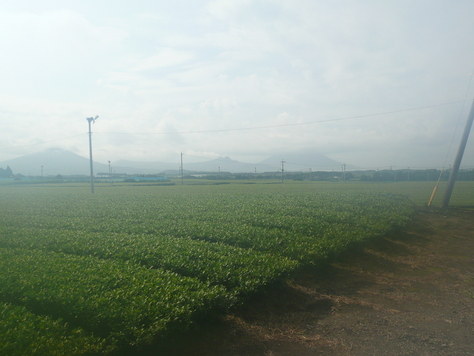 f0204110_21341517.jpg